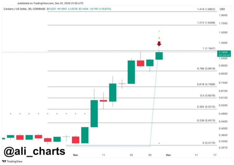 Cardano (Ada) Could See 20% Drop Before Next Rally, Warns Expert